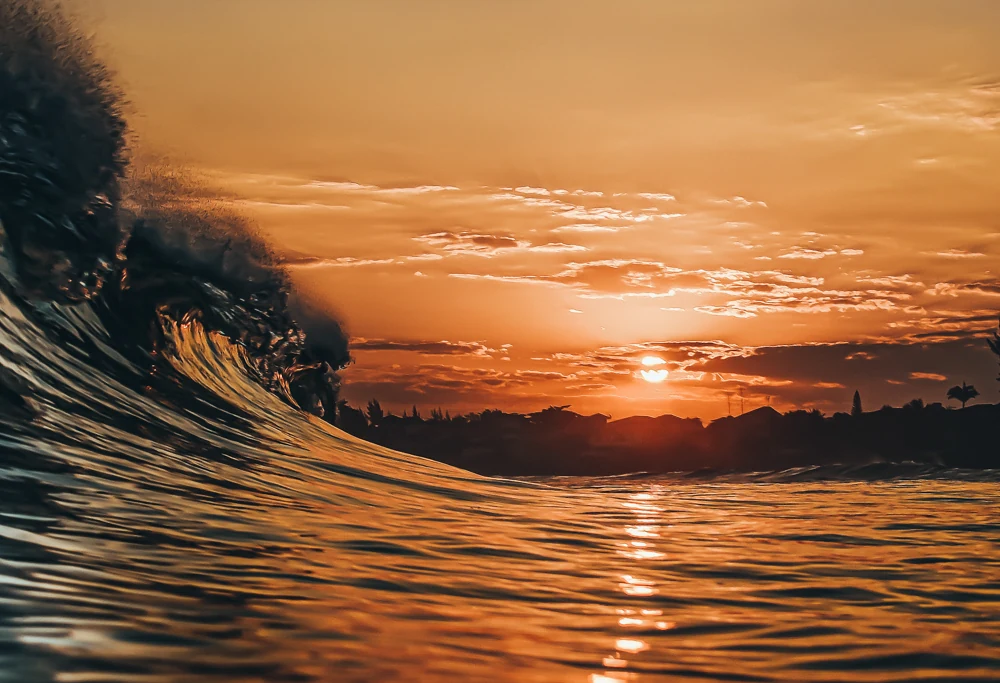 A wave lit by the setting sun