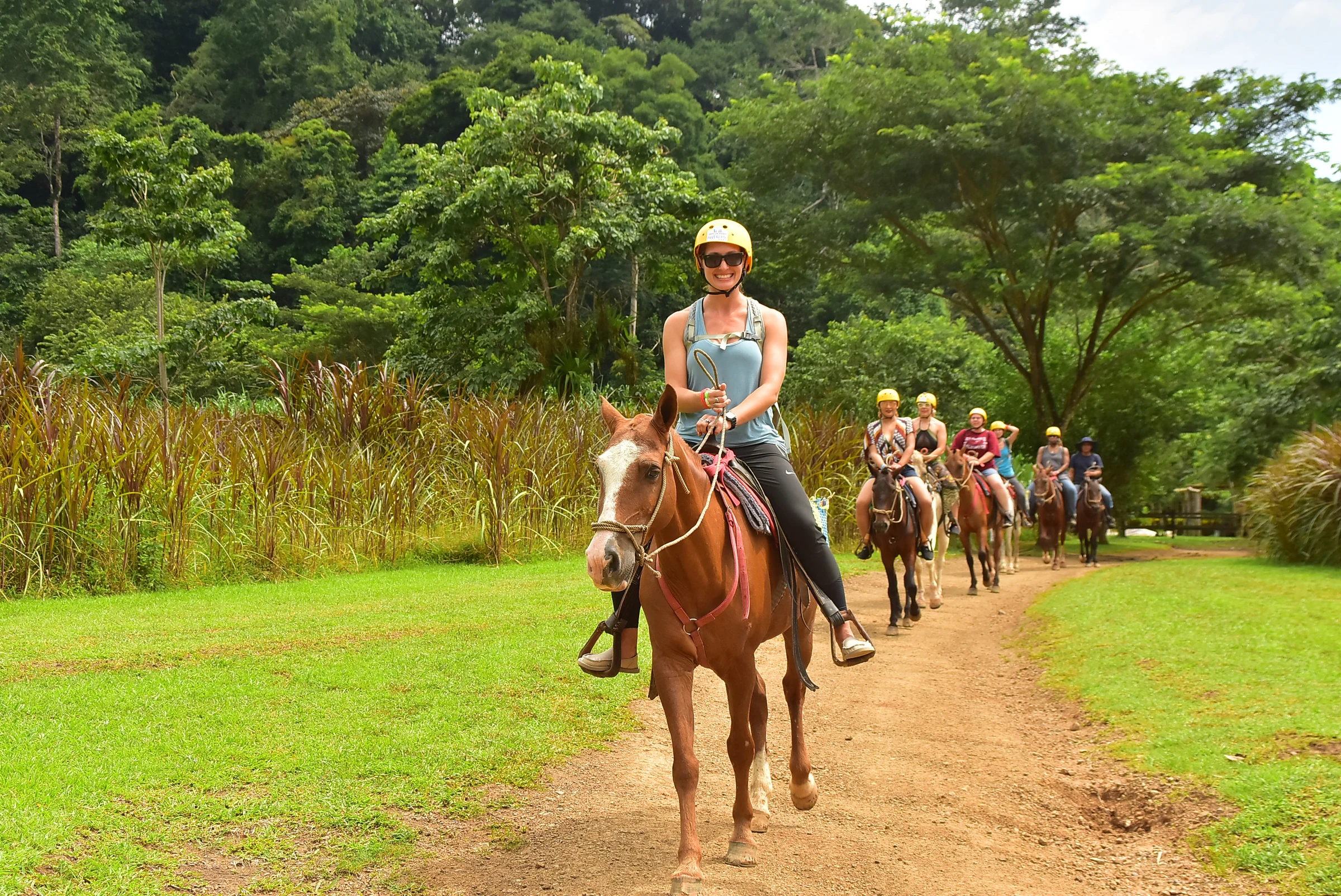 A rider on a forest path