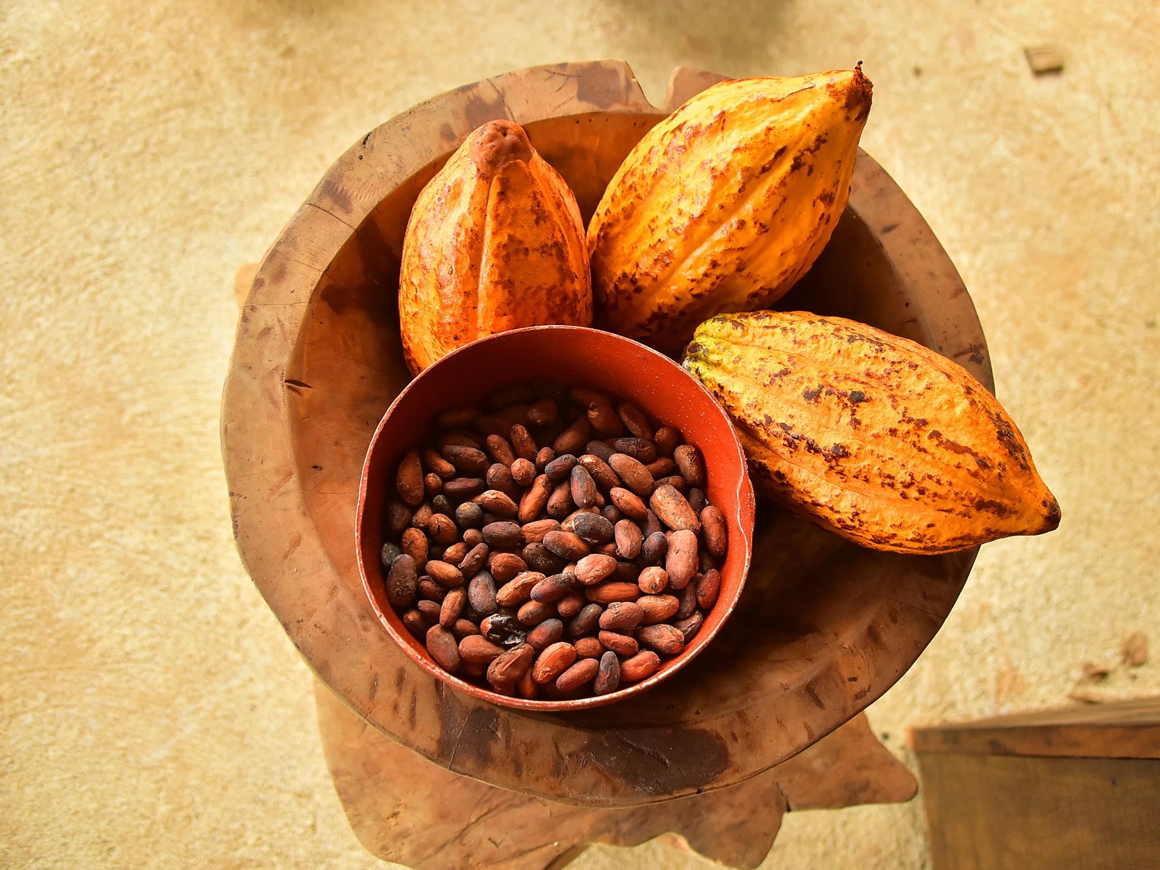 Cacao pods and beans in a wooden bowl