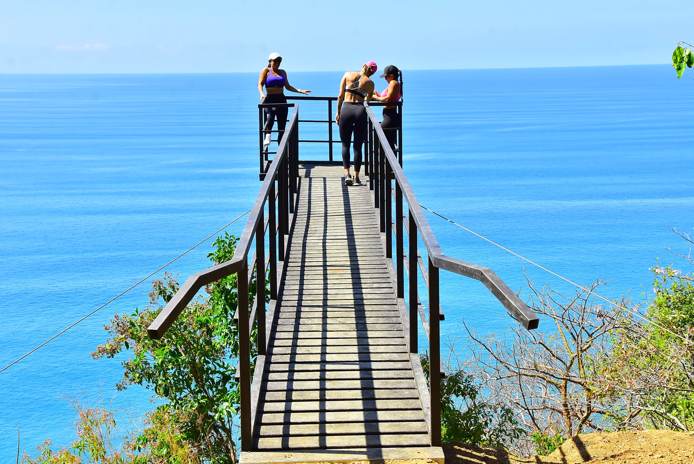 A cliff-top lookout over the Pacific