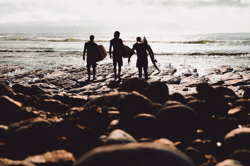 Surfers walking out at sunset