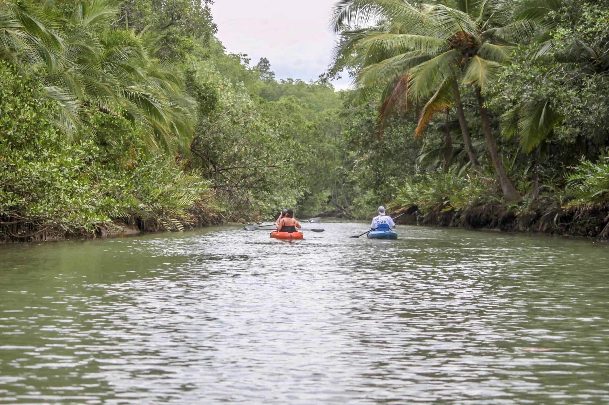 Crocodile River Tour