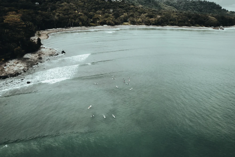 A quiet bay on the Pacific coast, seen from above