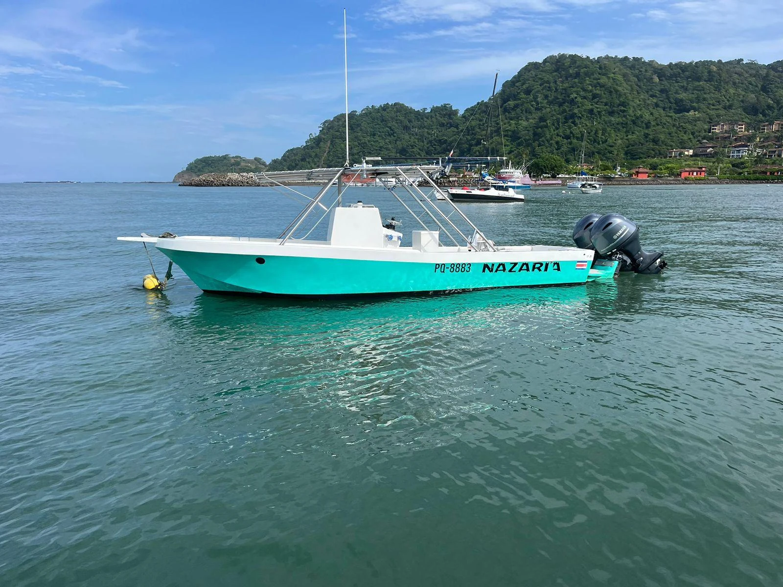 50' Open Fly
