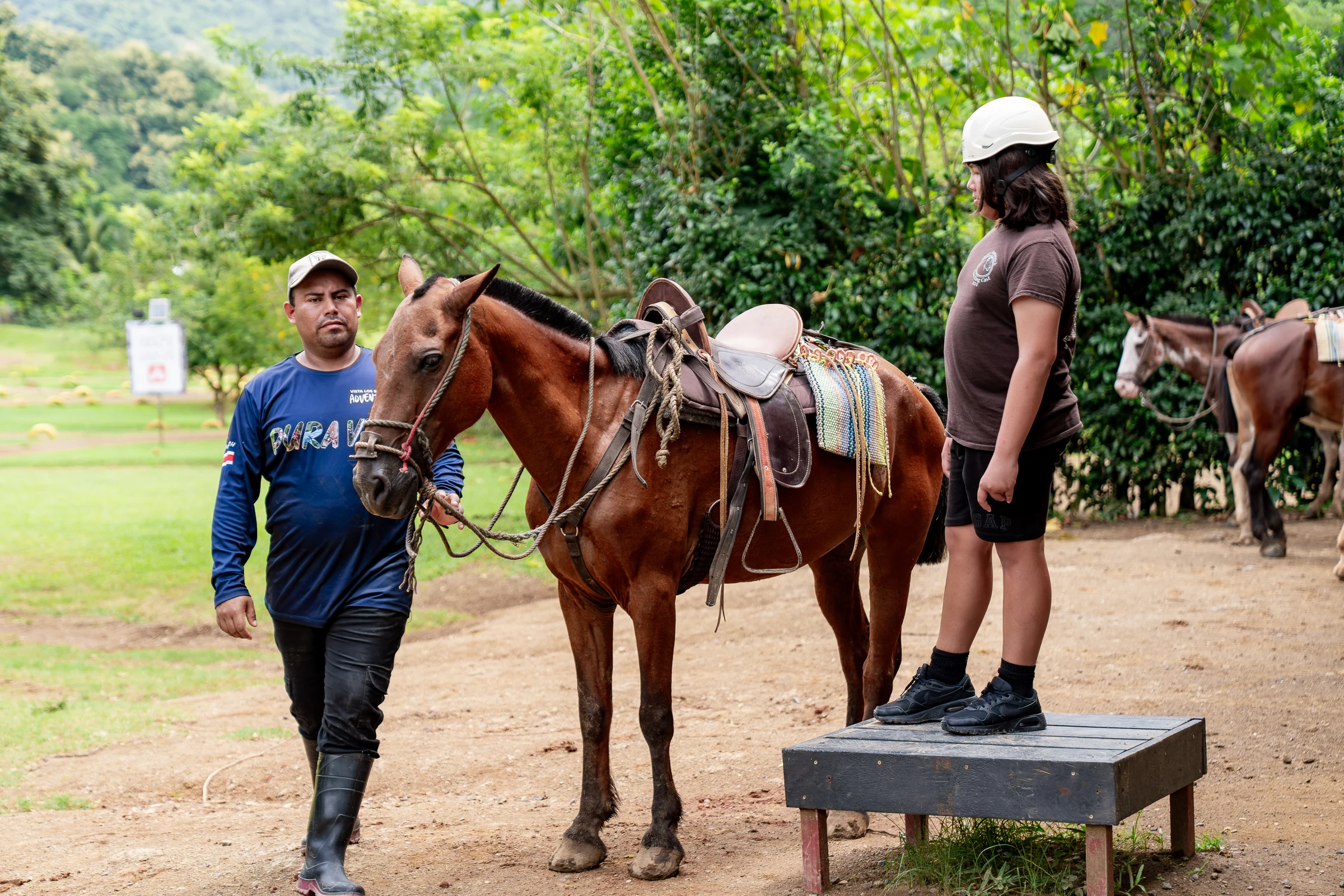 A guide preparing a horse for a rider