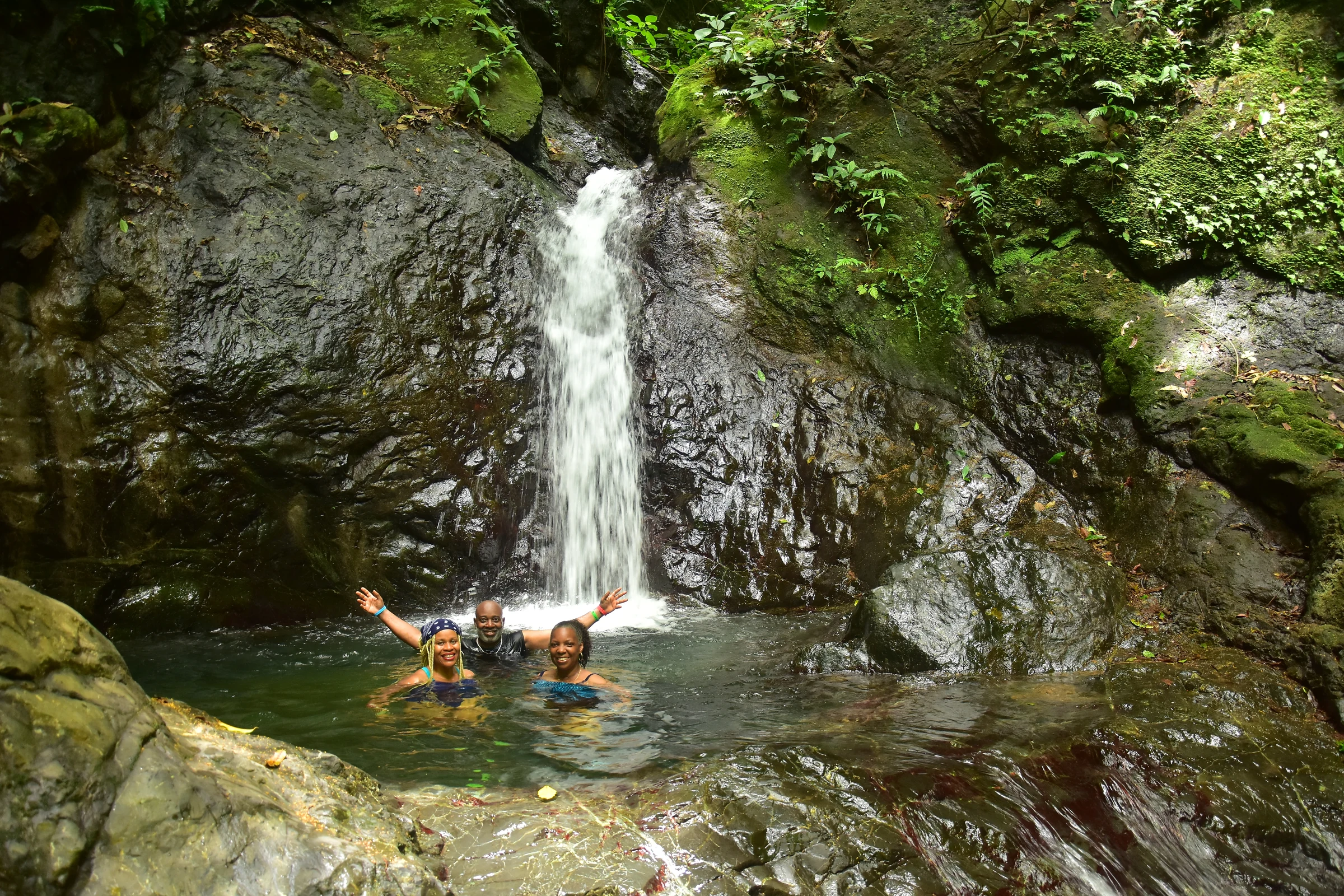 A quiet waterfall pool in the rainforest