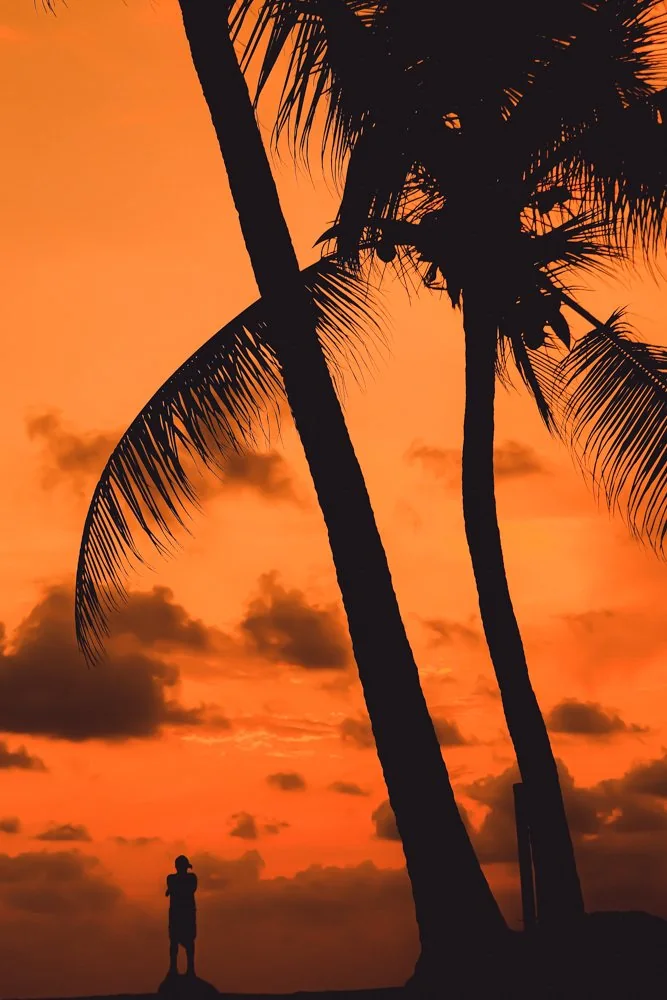 Silhouetted palm trees and a traveller against a bright orange Pacific sunset