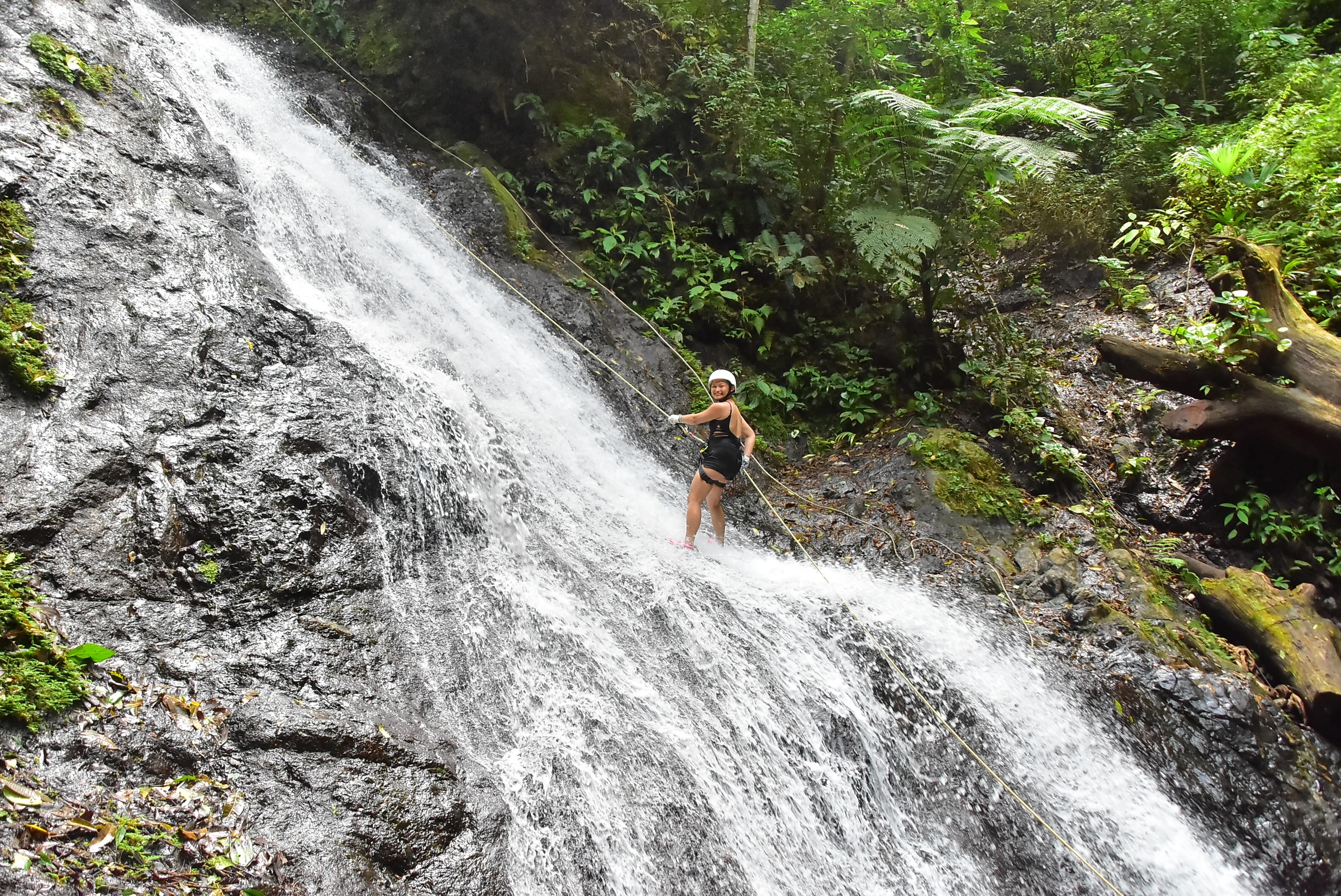 Water pouring over a rainforest canyon wall