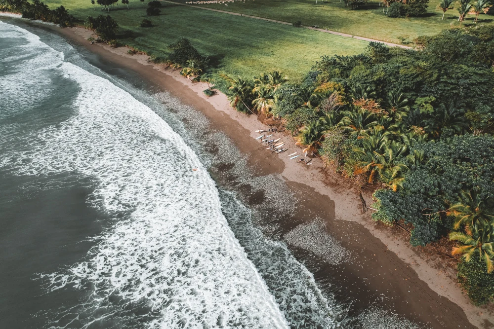 A Week That Moves With the Tide
