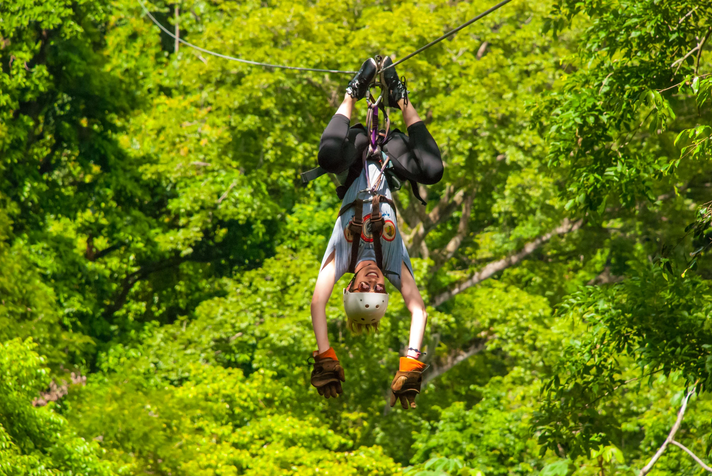 A zip-liner upside down above the canopy