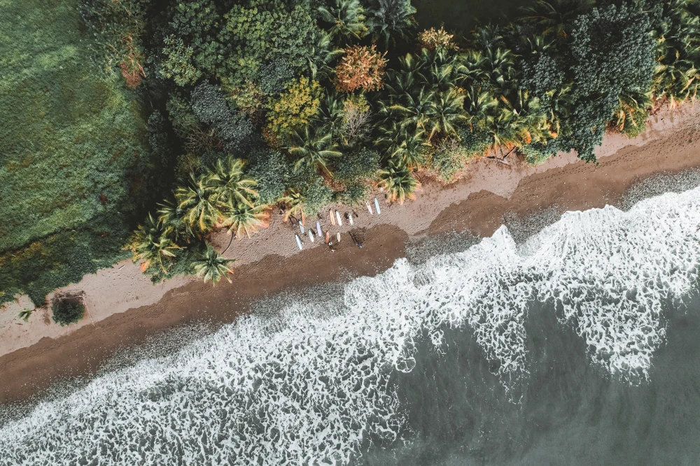 Waves breaking on a jungle-backed beach, seen from above